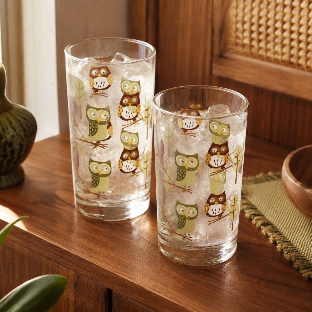 Owl Glasses Libbey by Crisa Green Maroon Brown MCM 1970s Set of 2 VTG